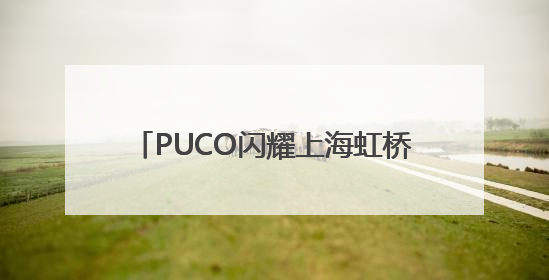 PUCO闪耀上海虹桥美博会，国货彩妆新势力诠释“色彩治愈力”